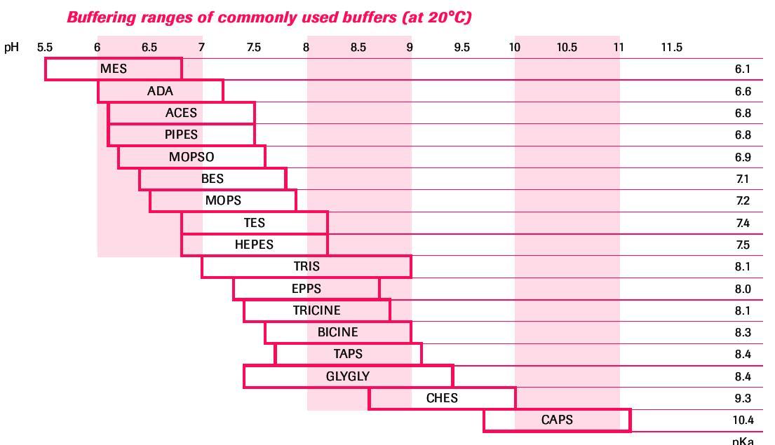 常见缓冲液的缓冲范围