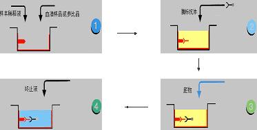 ELISA过程