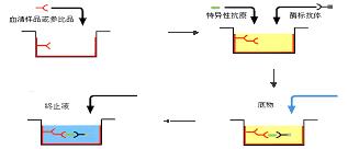 ELISA过程