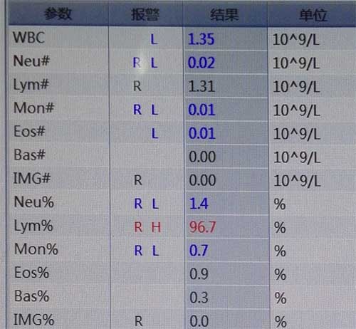 白细胞报告结果