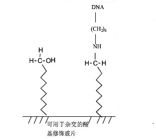 醛基片