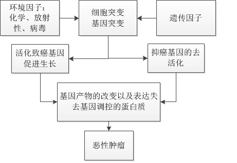 肿瘤形成过程